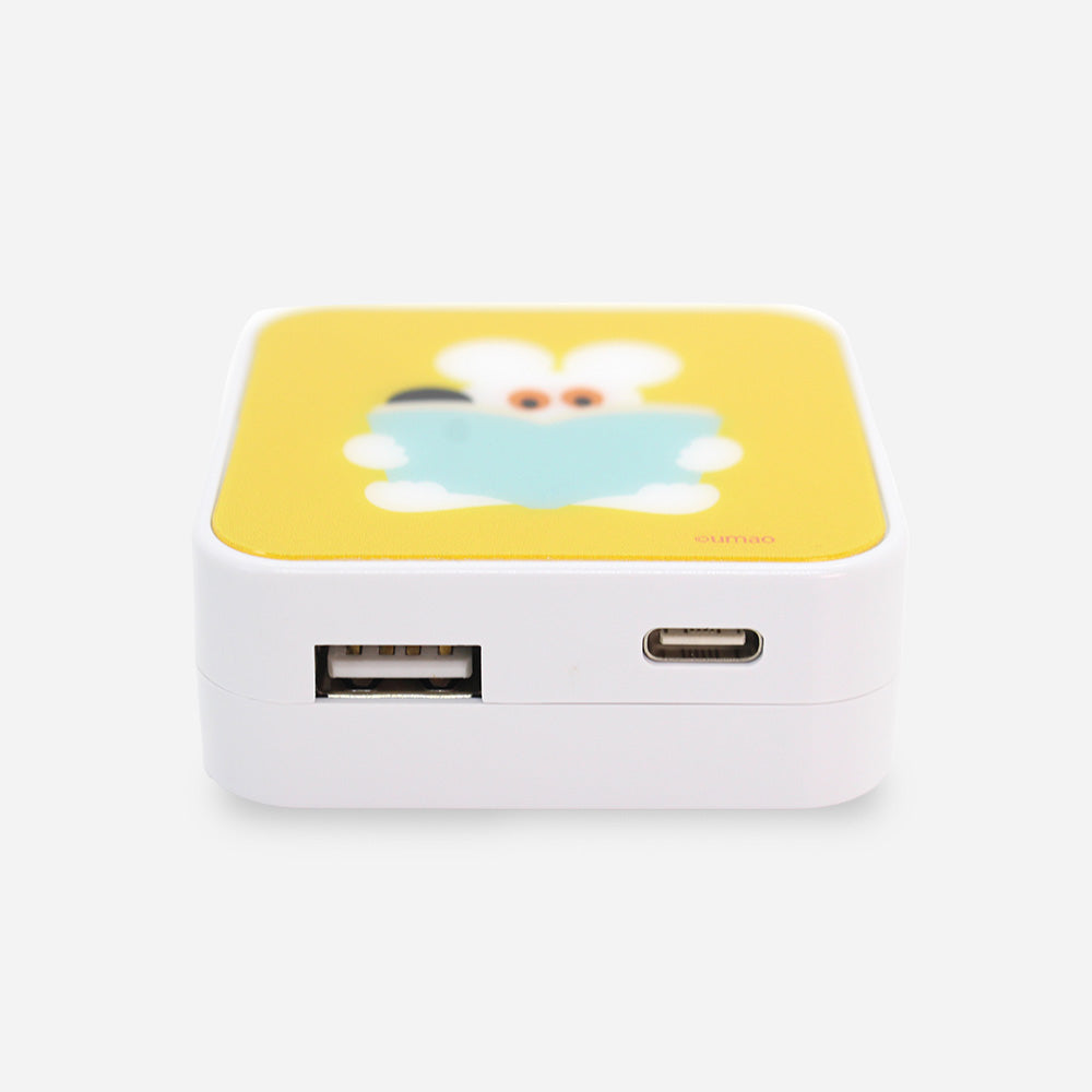 USB/USB Type-C ACアダプタ