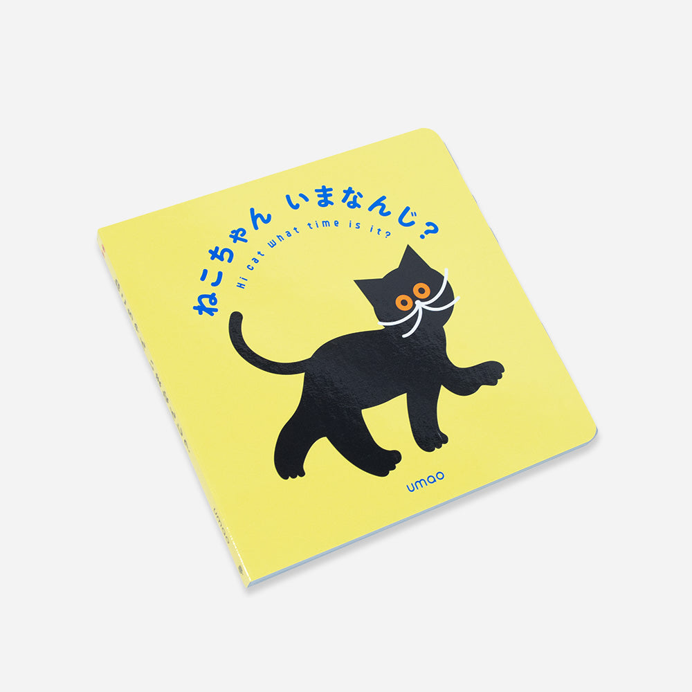 Picture book
